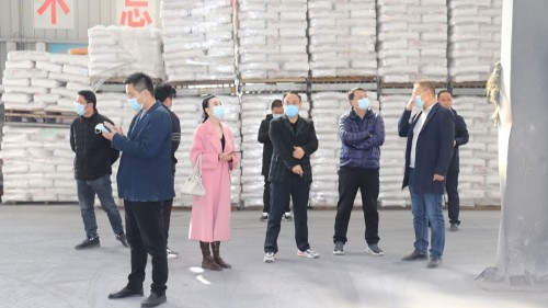 新蒲建设集团领导参观考察利记sbobetAPP官网